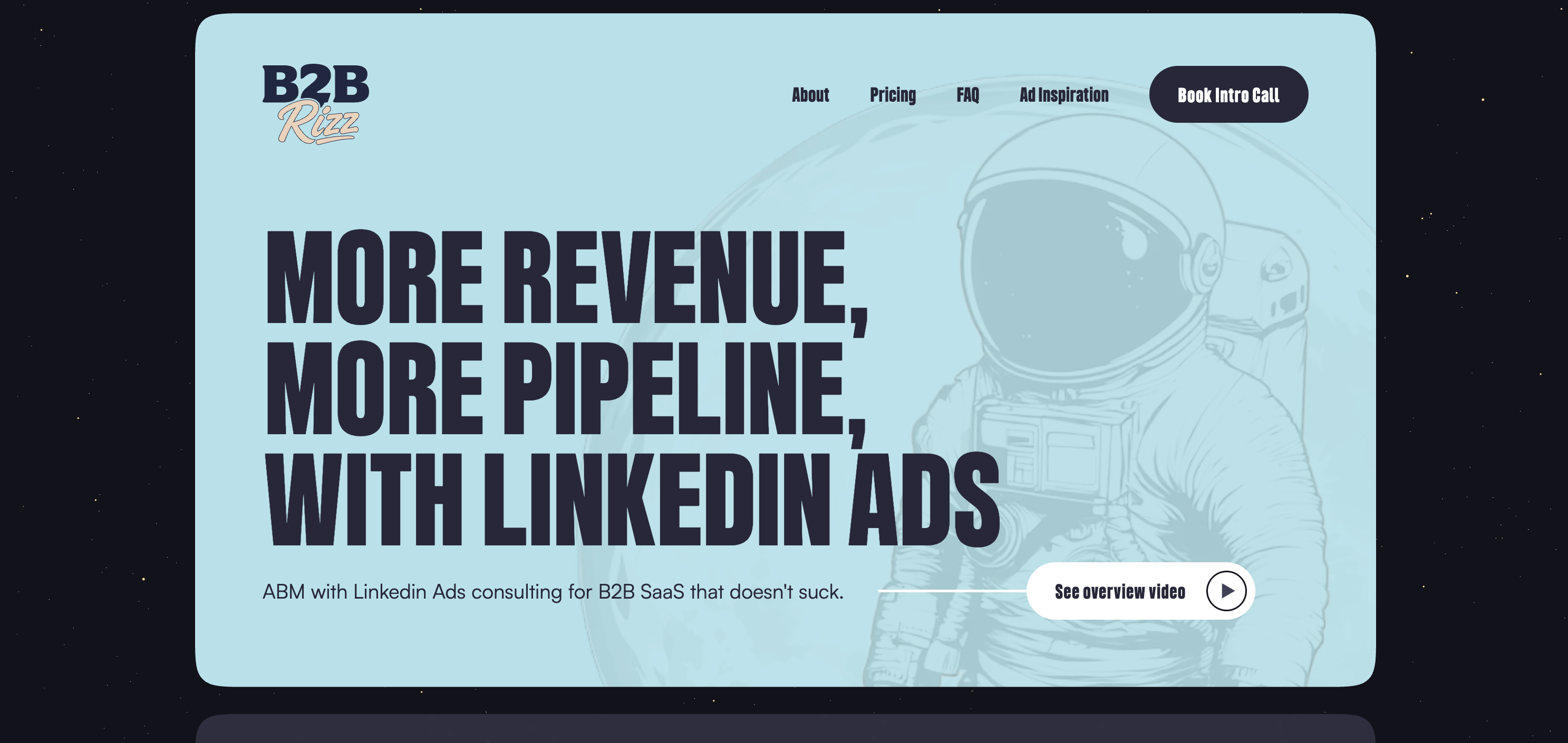 b2brizz.com homepage